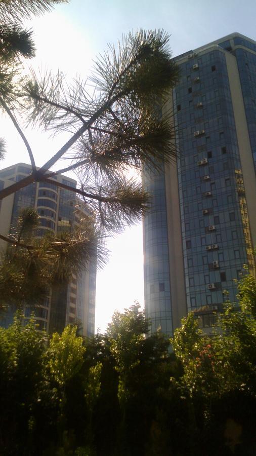Dolphin Apartment Odessa Dış mekan fotoğraf